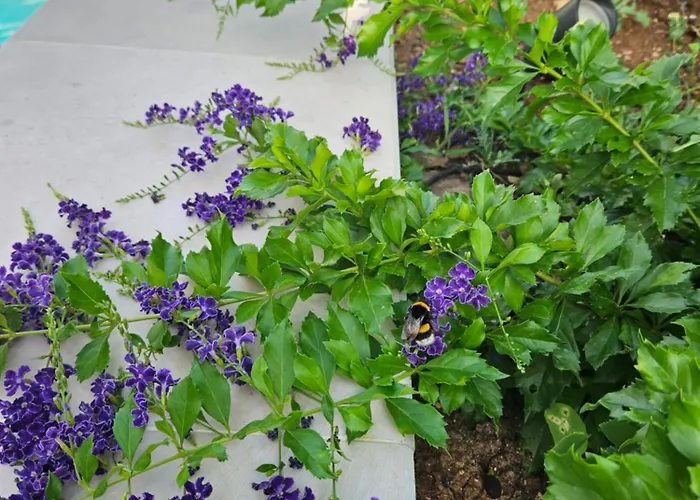 Holiday home Casado *